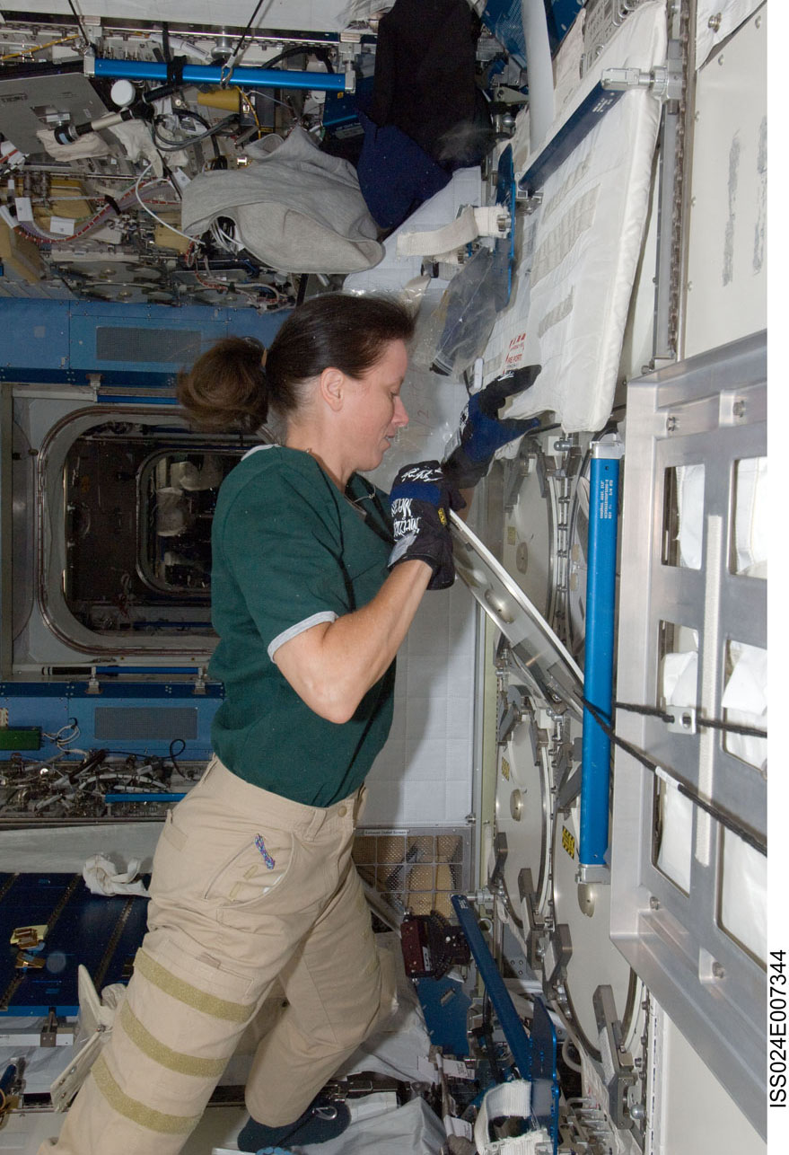 Shannon Walker in space